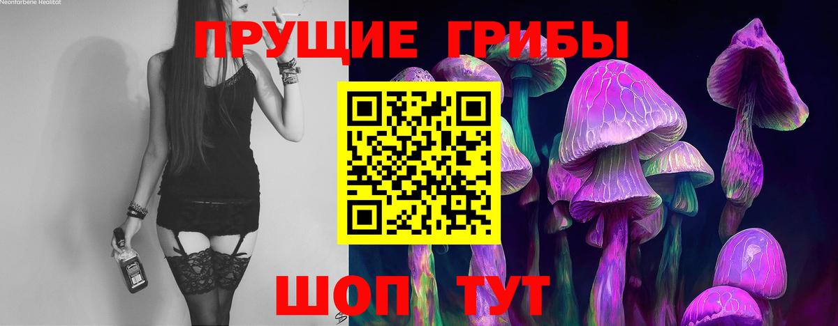 Псилоцибиновые грибы мицелий  Вход с VPN  цена   Добрянка  Галлюциногенные грибы Cubensis 