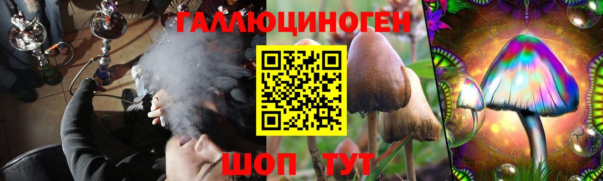 Галлюциногенные грибы прущие грибы Добрянка