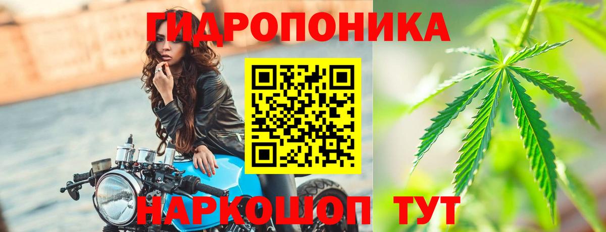 Бошки марихуана Ganja  Шишки марихуана тримм  Вход с VPN  Добрянка 